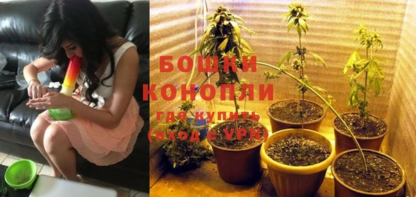 эйфоретик Нефтекумск