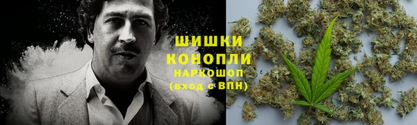 прущие грибы Слюдянка