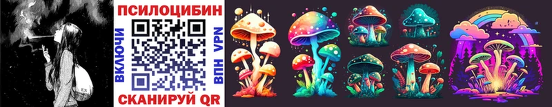 Галлюциногенные грибы Psilocybe Красный Кут